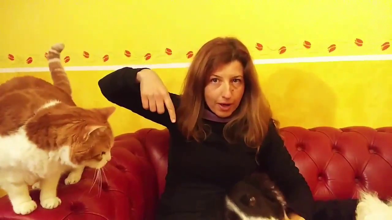 Hai un cane geloso?
