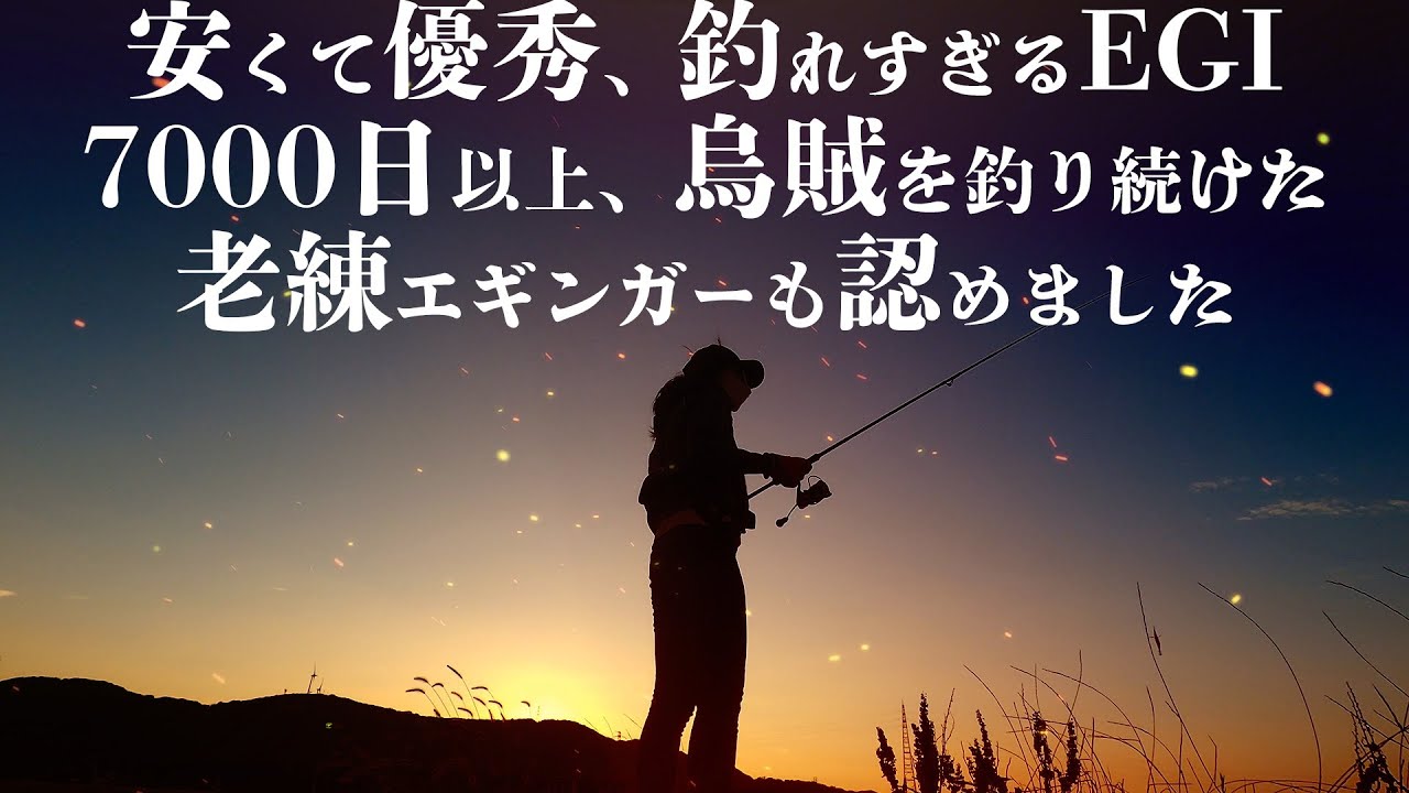 エギング【何だこのエギ！今まで使ってこなかったことを悔やんだ。初心者でも連発。】2024 1月　エギング　アオリイカ