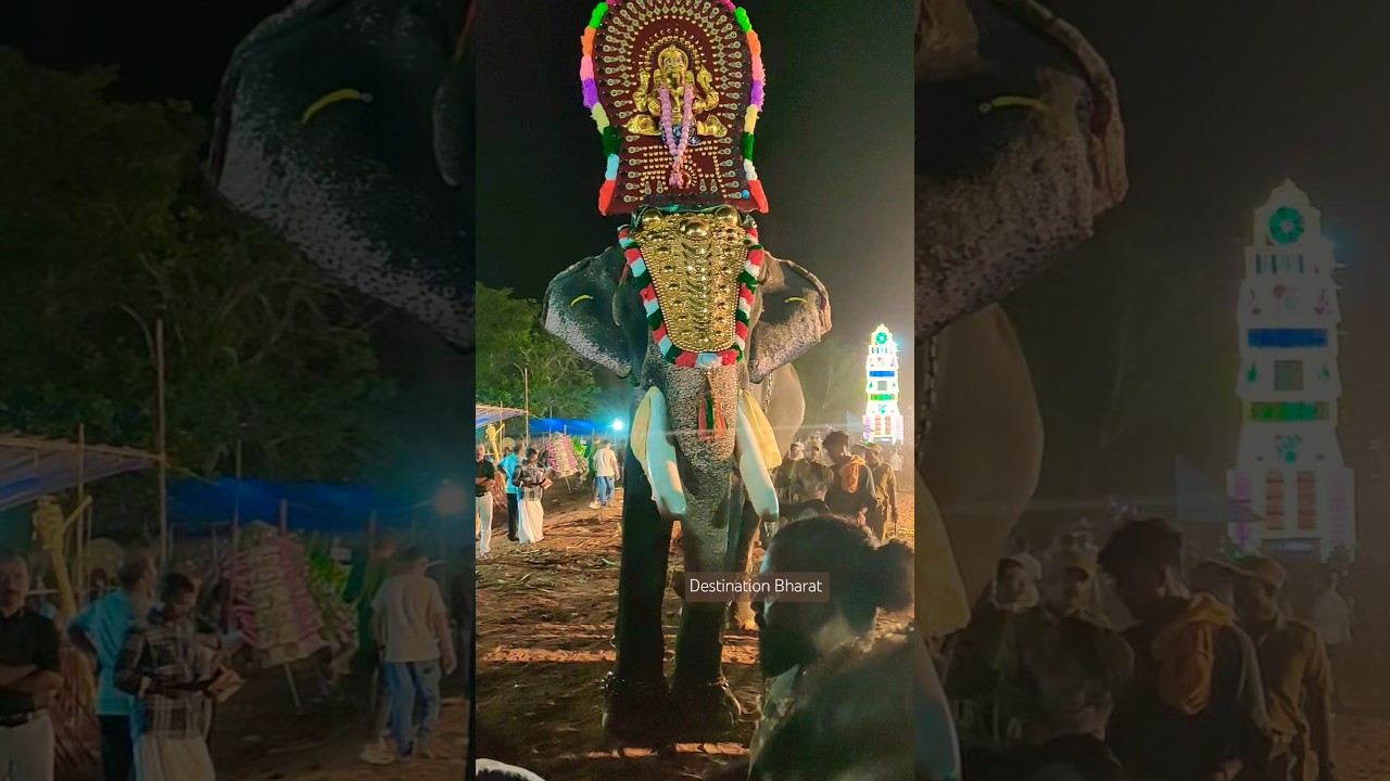 ❤️🐘🙏 #destinationbharat #festivalsofindia #festivalsofkerala #aana #elephant #pooram