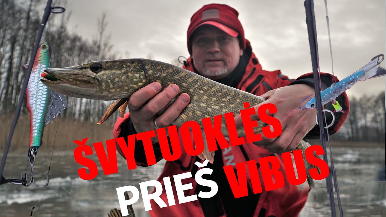 Lydekų gaudymas viduržiemį: blizgės ir &scaron;vytuoklės prie&scaron; vib'us