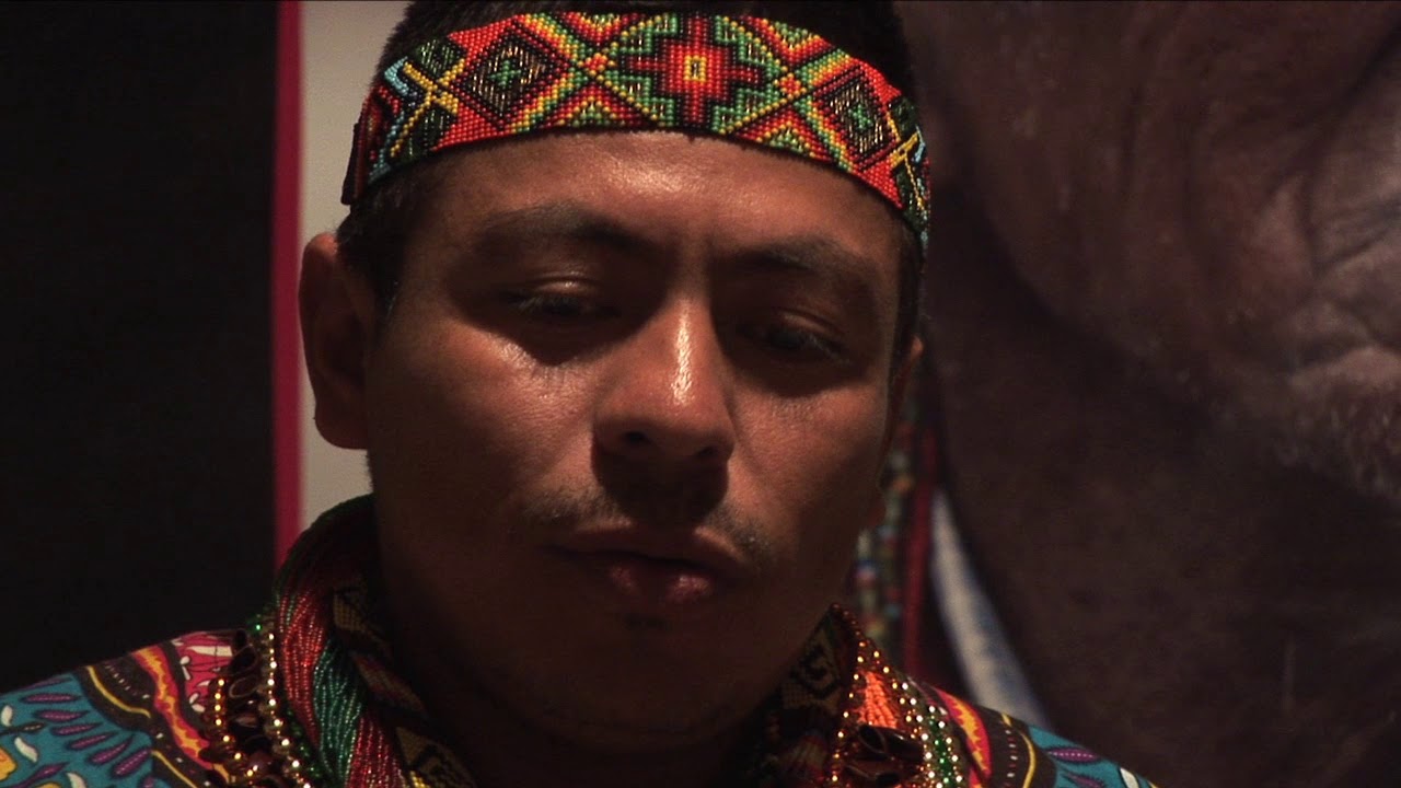 Kofanes: el ritual del yagé