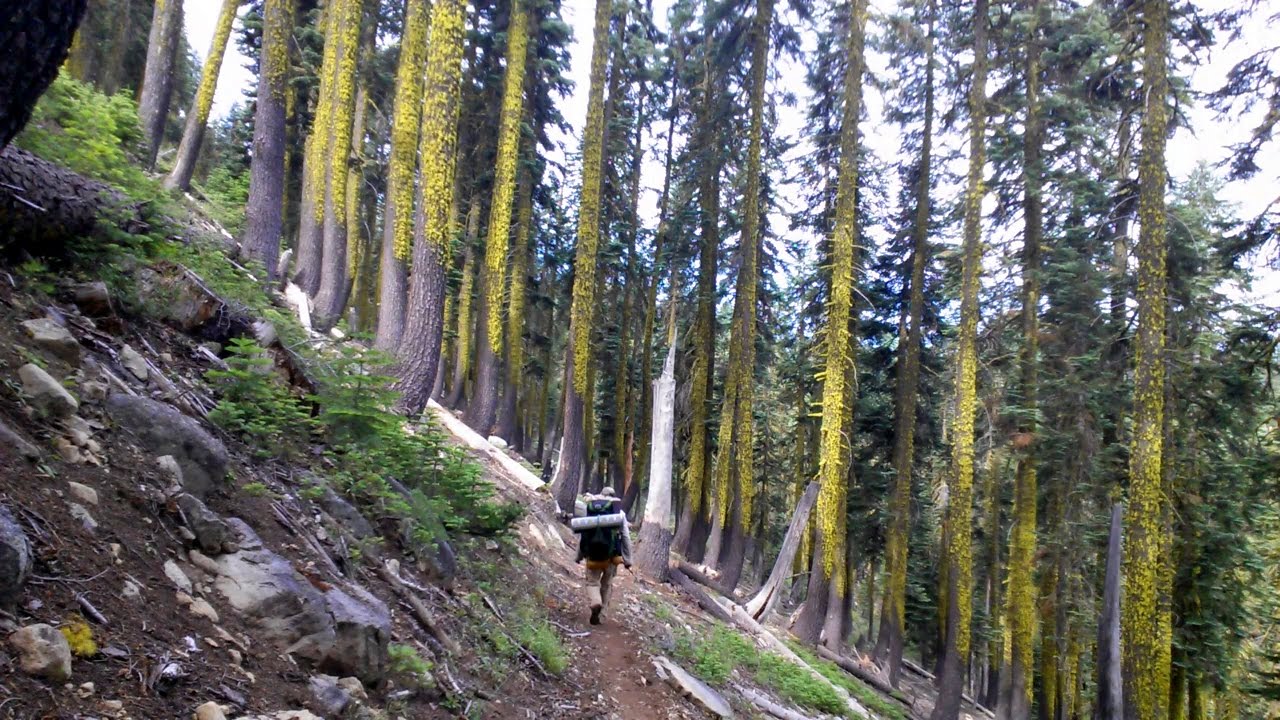 The PCT and the creep