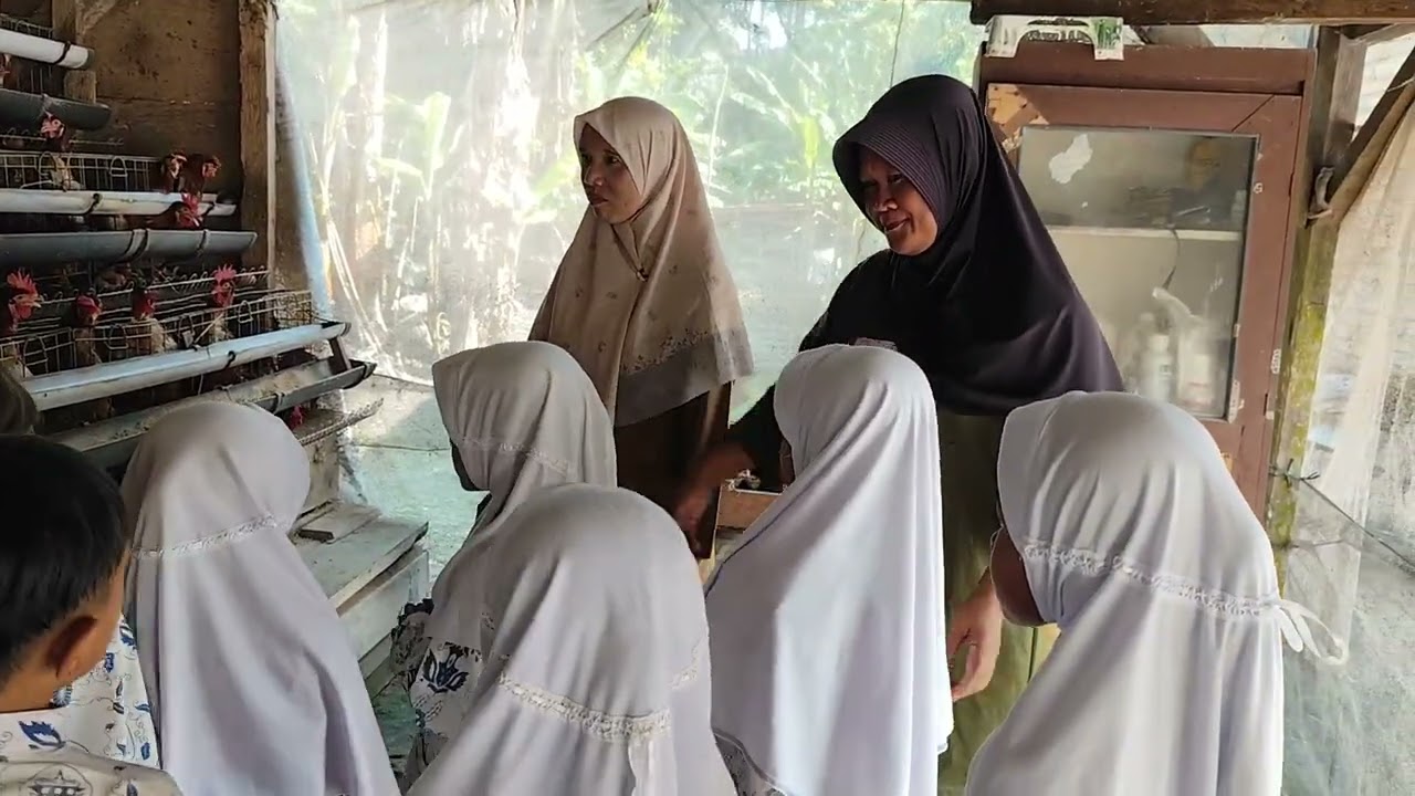 KB AQILA BELAJAR MENGENAL BINATANG PELIHARAAN