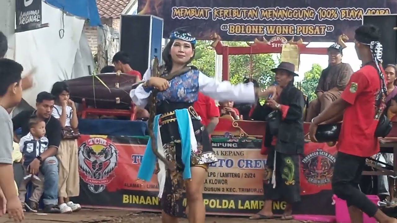 Tari ular... Turonggo Seto crew. || live di Adipuro Trimurjo lampung Tengah. 