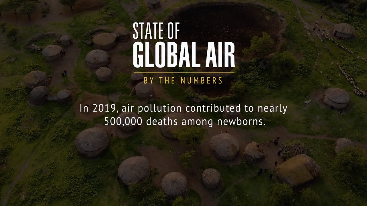 How Does Air Pollution Affect the Health of Newborns?