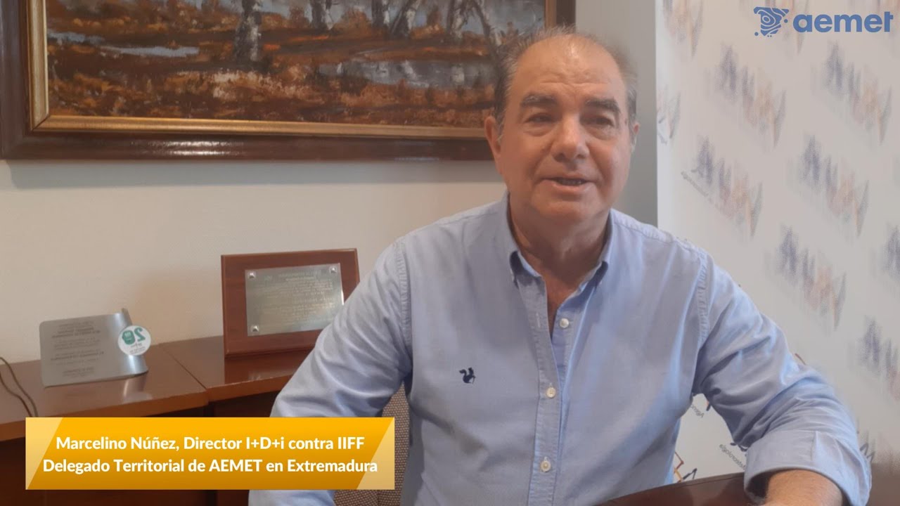 Actuaciones de Aemet contra IIFF 2025