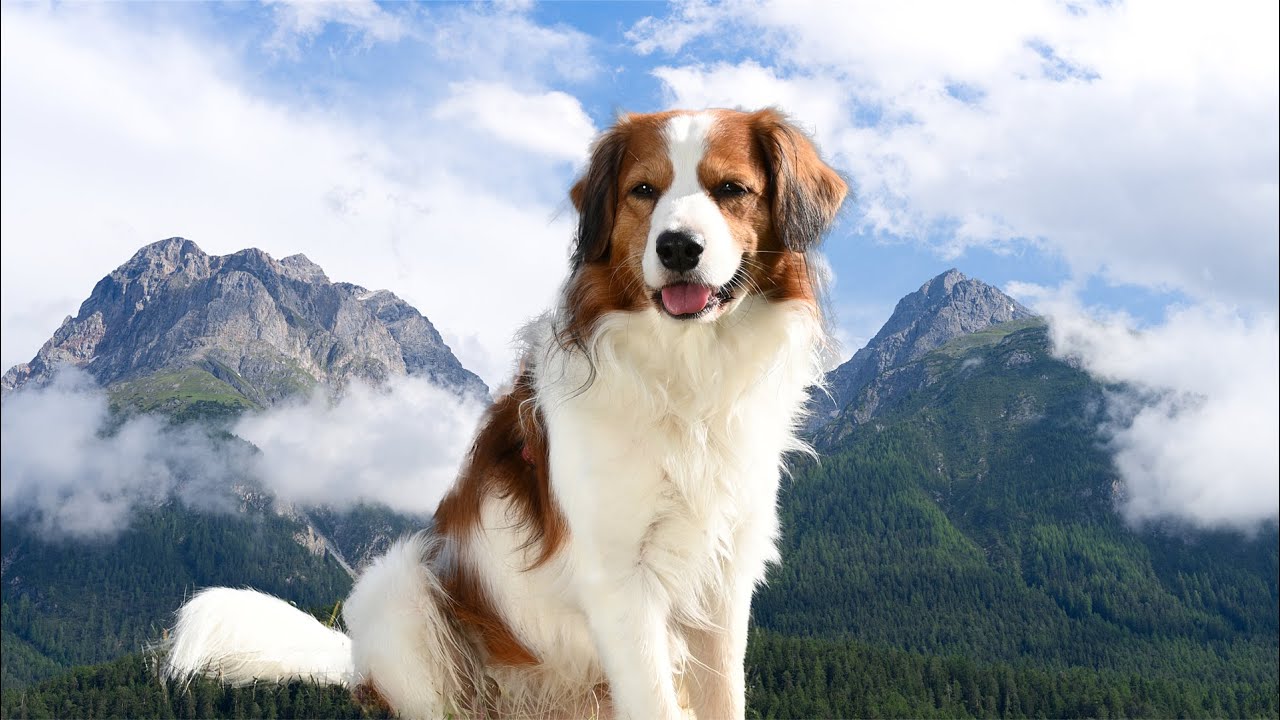 Drei Schluchten Wanderung Scuol | Engiadina Bassa