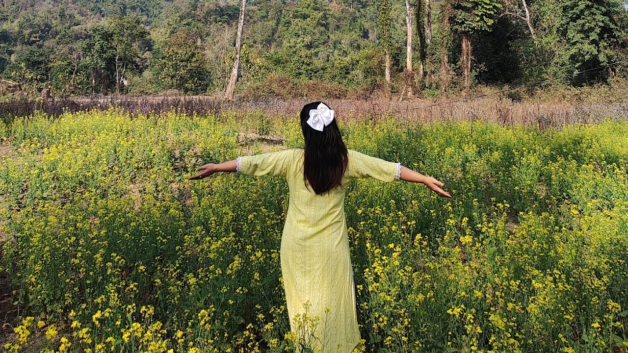 Mustard//garden//poma//