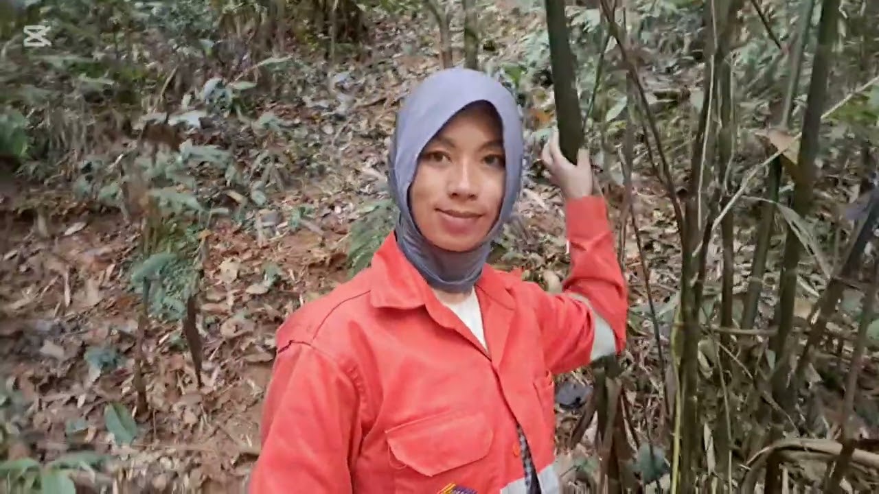 Nrog nyab wb mu muab tshuaj zoo kab siab B tham lu lom zem taug kev 