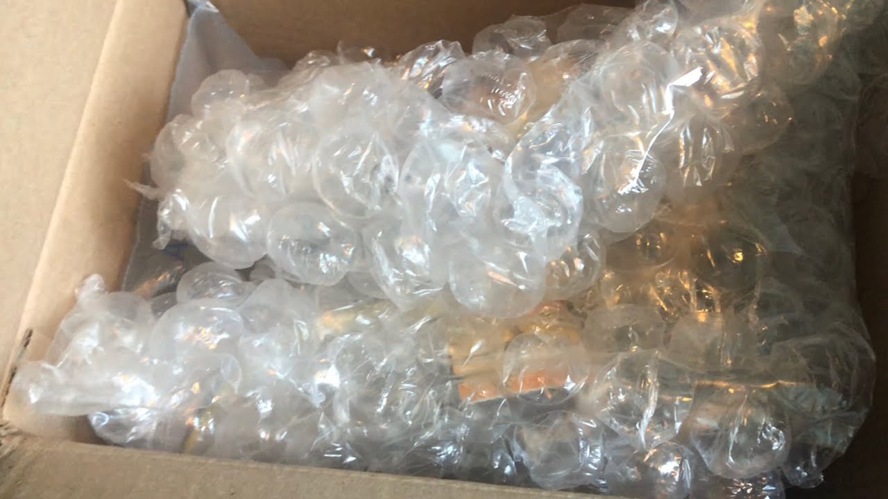 Safari Ltd and CollectA Theropod Dinosaur Lot Unboxing