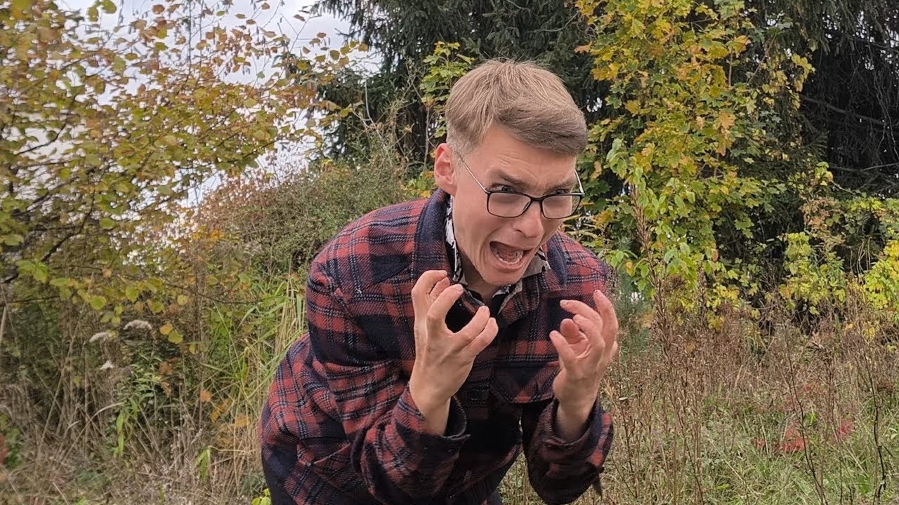 Aufräumen? Bloß nicht! So rettest du tausende Insekten im Herbst! (bin Wütend)