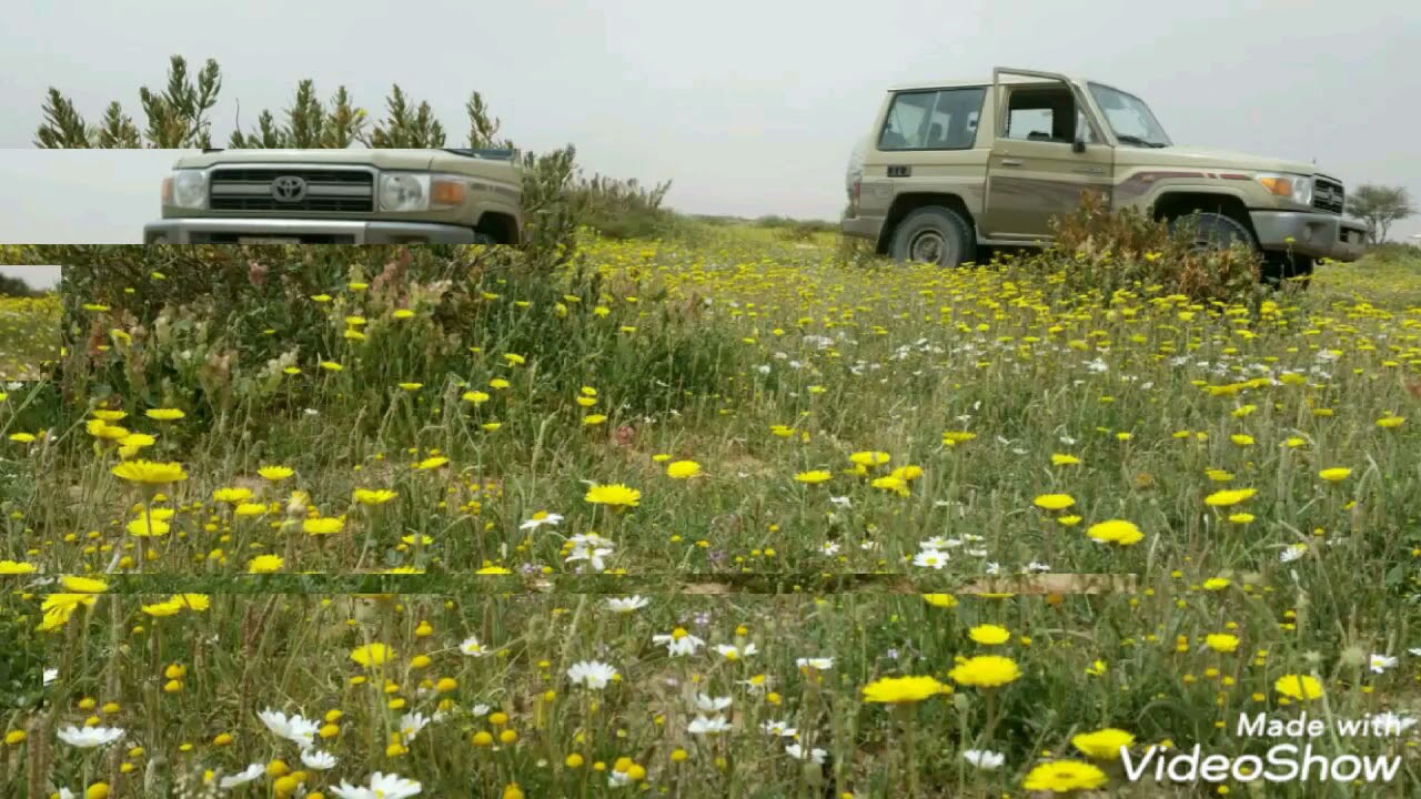 طلعه ١٤٣٩