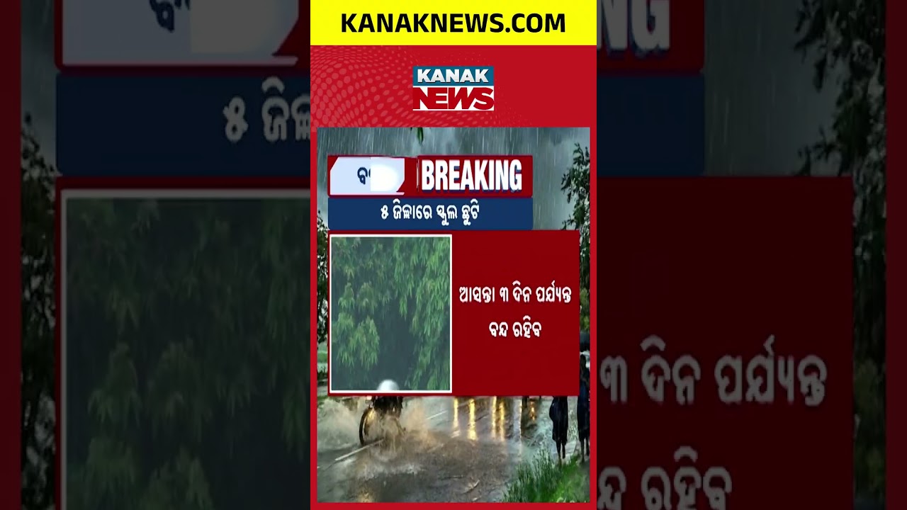 ୫ ଜିଲ୍ଲାରେ ସ୍କୁଲ୍ ବନ୍ଦ Odisha School Holiday Alert | 5 Districts Shut Schools Amid Heavy Rain