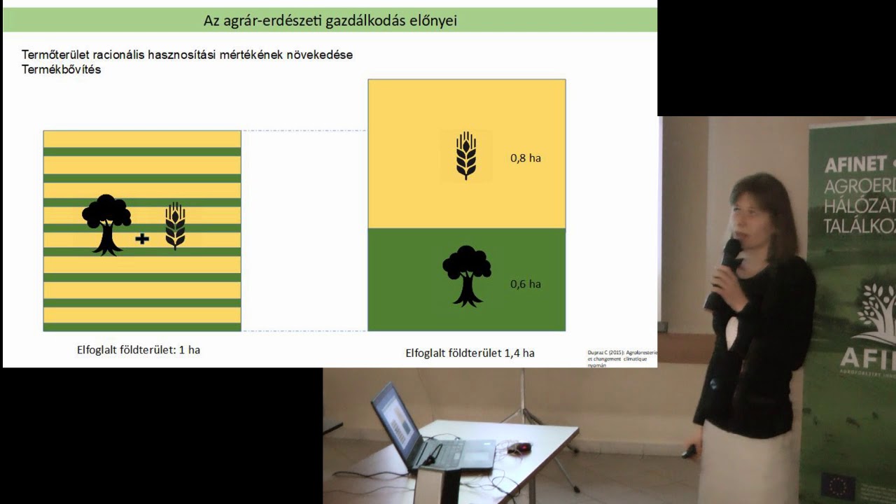 Vityi Andrea: Innováció és együttműködés az agroerdészetben