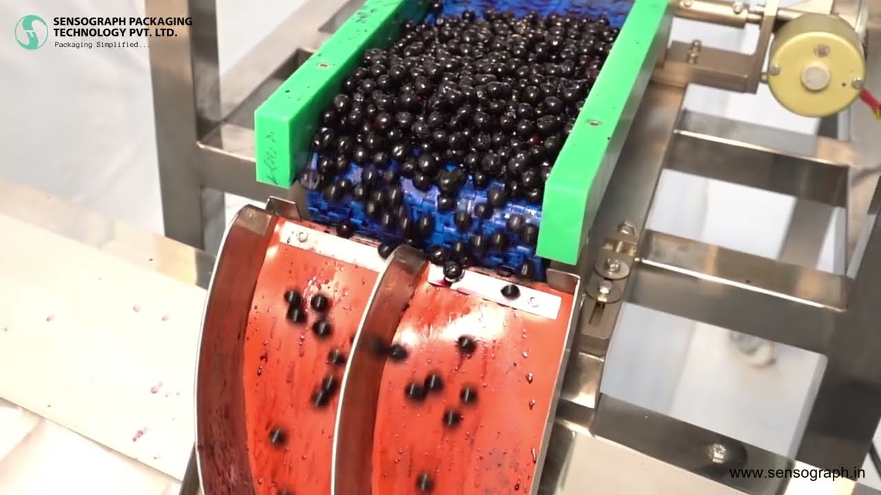 Fully Automatic Blueberry Clamshell Packing Machine | Filling, Closing & Labeling