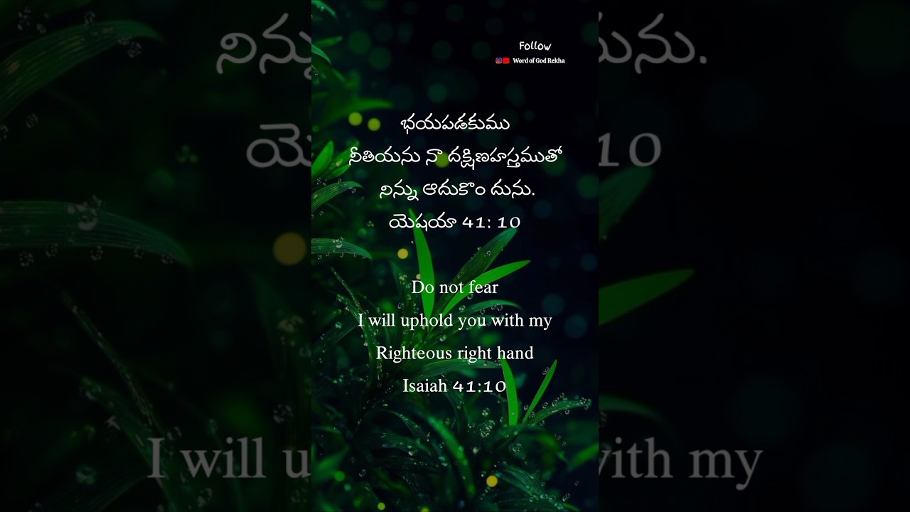 today god's promise #bible #god #jesus #godspromise #dailyverse #jesuschrist #religion #gospel #lord