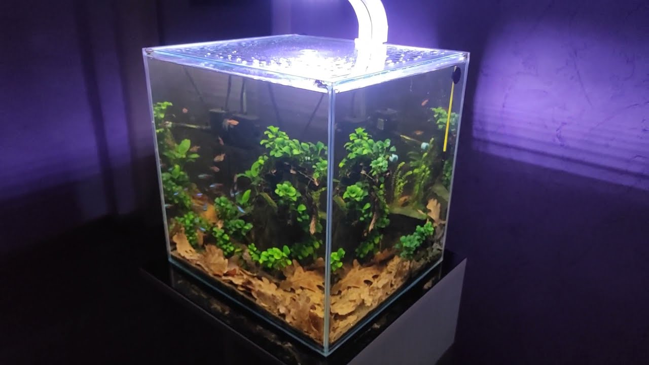 НАНО-АКВАРИУМЫ. ТРИ ВАРИАНТА.