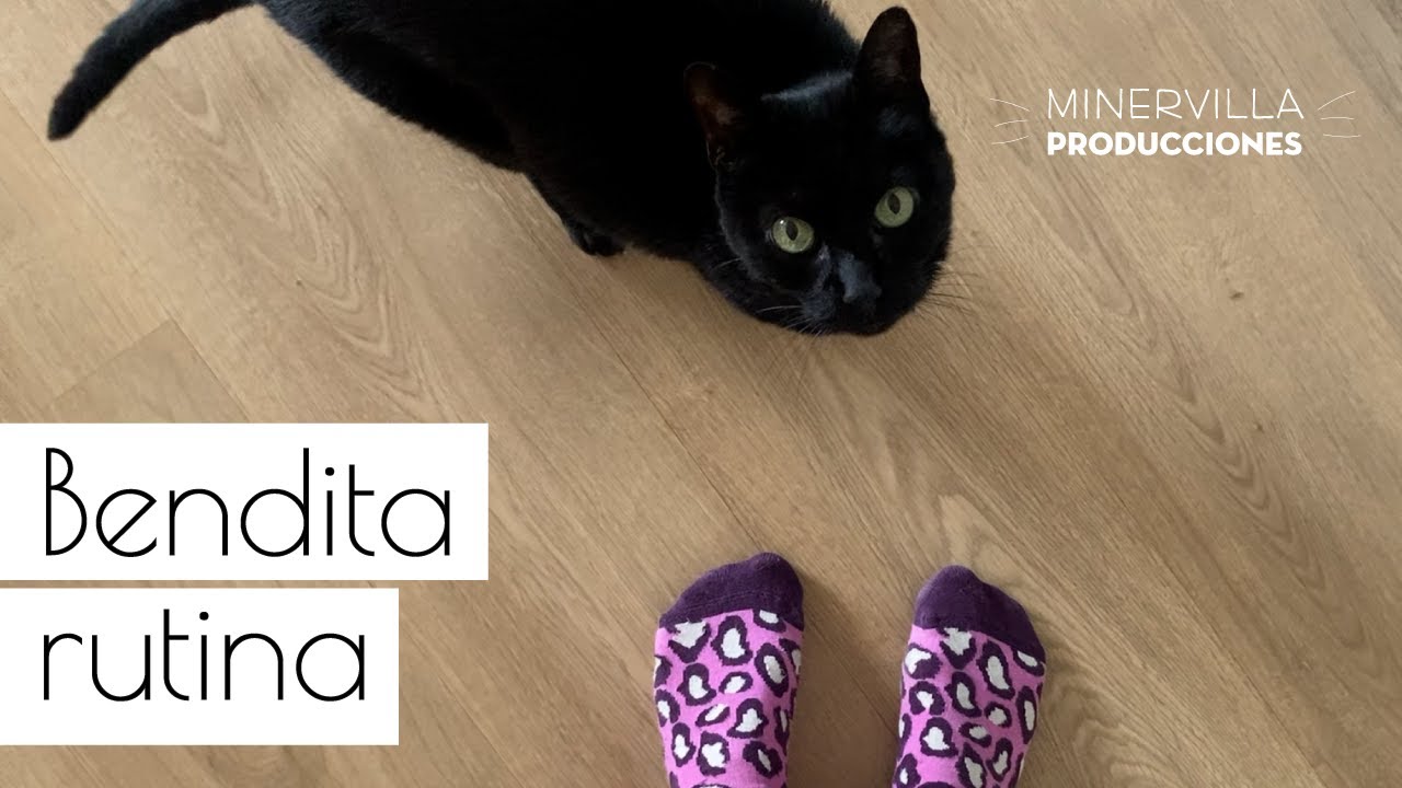 Bendita rutina vlog 24 🐈‍⬛