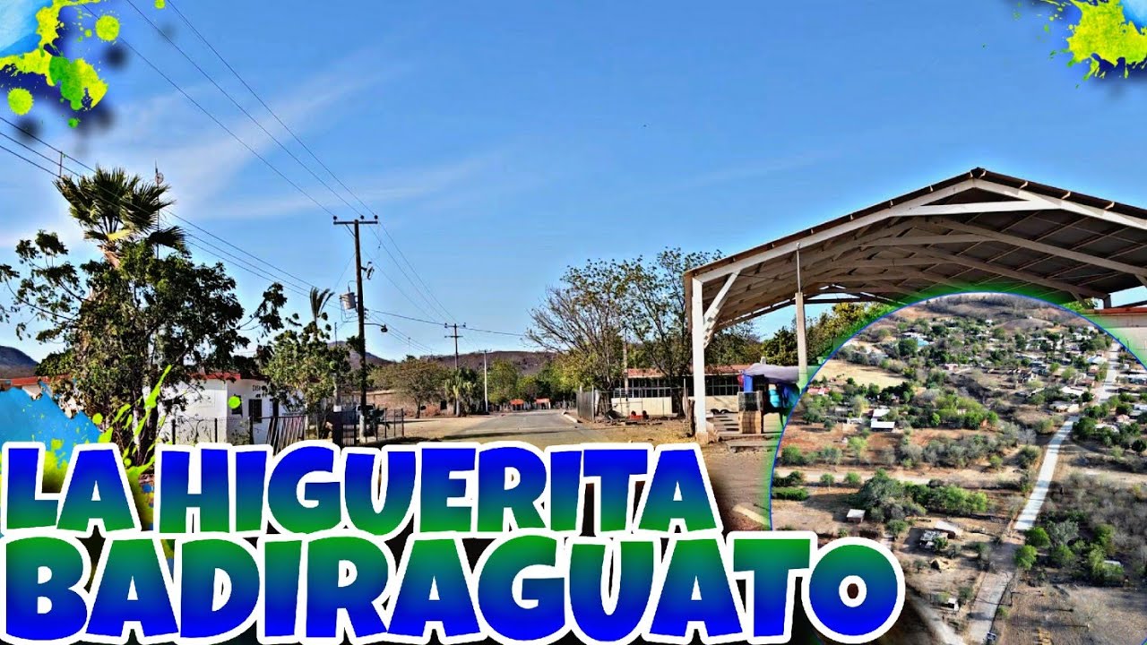 UN BONITO RANCHO 🌄🤩👌(LA HIGUERITA, BADIRAGUATO)🌳🍃