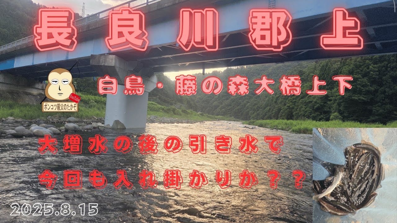 「長良川郡上・白鳥地区」