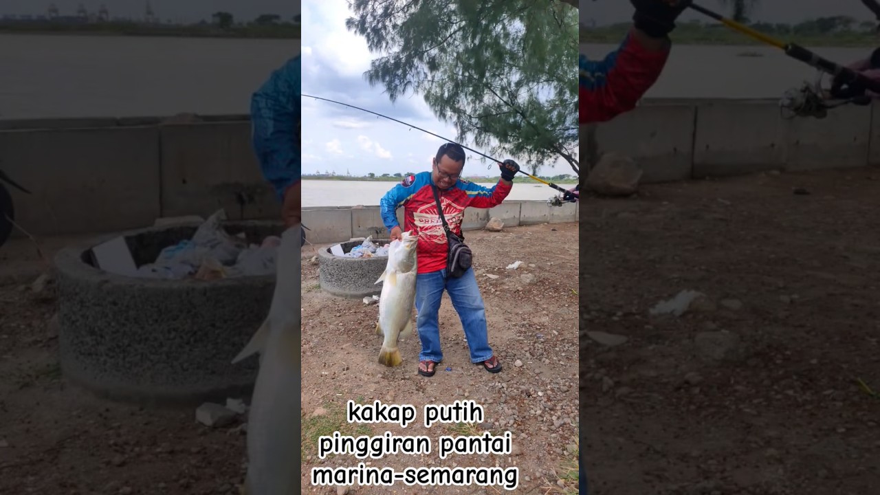 strike kakap 9kg Up* dipantai marina-semarang