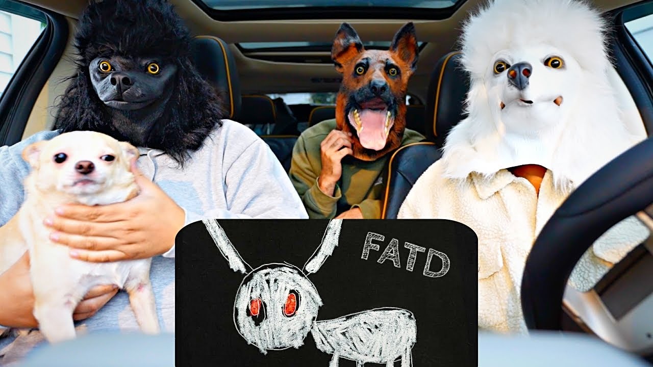 DRAKE - FOR ALL THE DOGS 🐶 REACTION / REVIEW ‼️