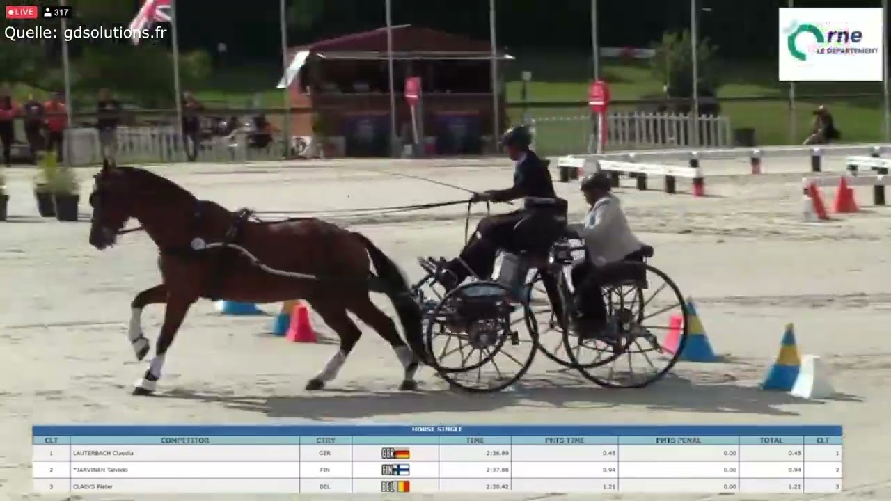 Gelungenes Debüt für Ulrike Schmidt bei der Einspänner WM