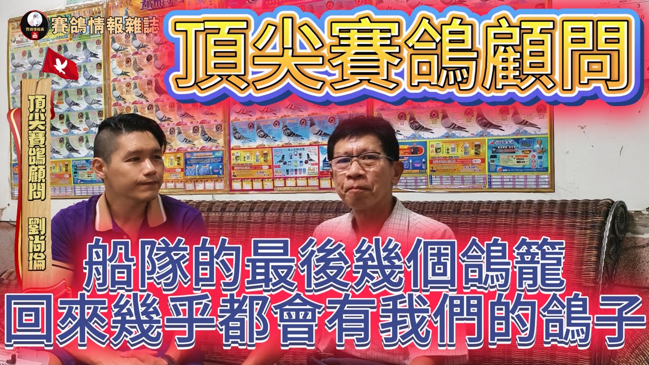 三句話幫鴿友解決疑難雜症的“頂尖”賽鴿顧問～劉尚倫先生專訪 #鴿刊 #鴿壇名人錄 #深研病理學 #育種 #種鴿 #強豪 #海翔 #pigeon #鴿子 #養鴿 #粉鳥 #銘鴿 #五洲賽鴿