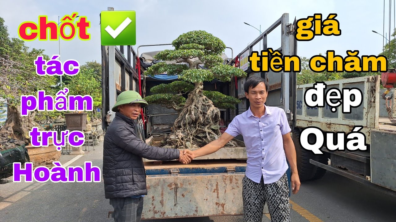 Chốt ✅ - tác phẩm tiền chăm - đẹp quá 👍 - Bắc Ninh về Hải Phòng không lòng vòng 
