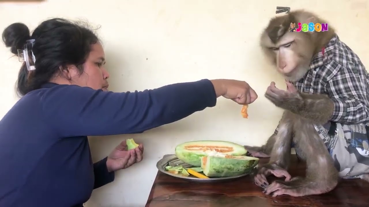 Urgent Help....Mommy Give Hard Lesson To Baby Monkey#lovely#cute#adorable#newborn#animals#ree