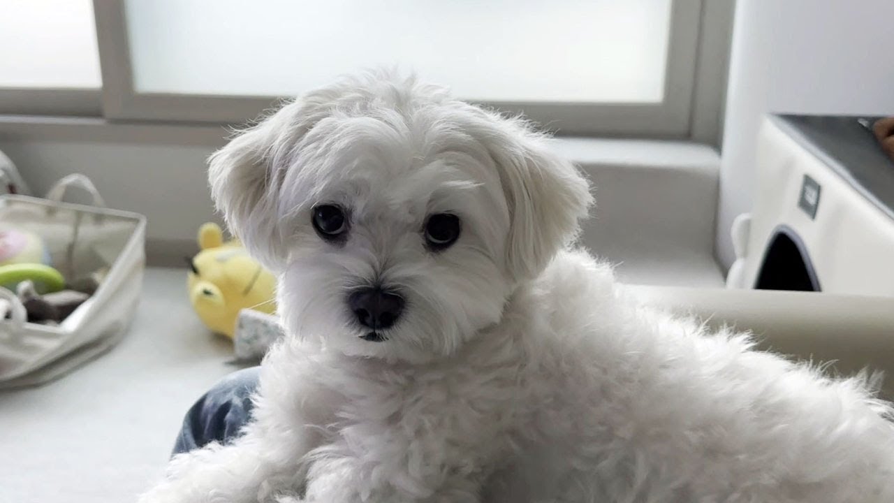 오늘 기분 별로야...