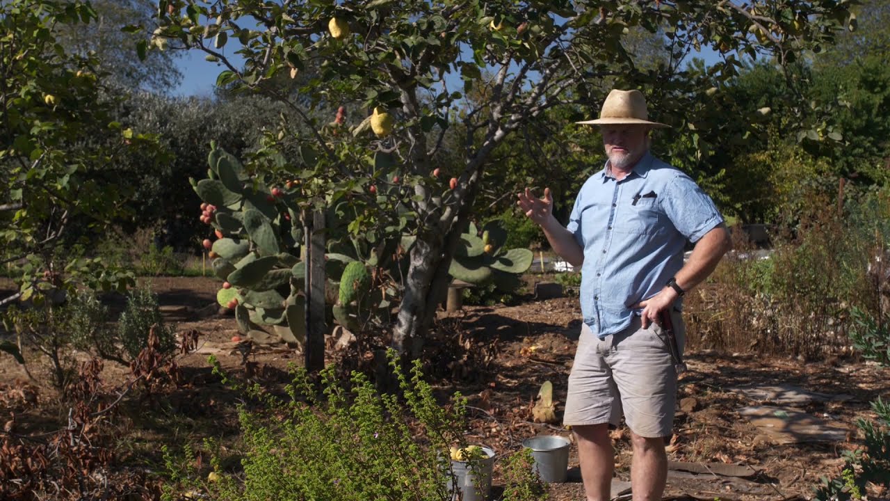 Quince/Membrillo with Brooks Schmitt and Christof Bernau