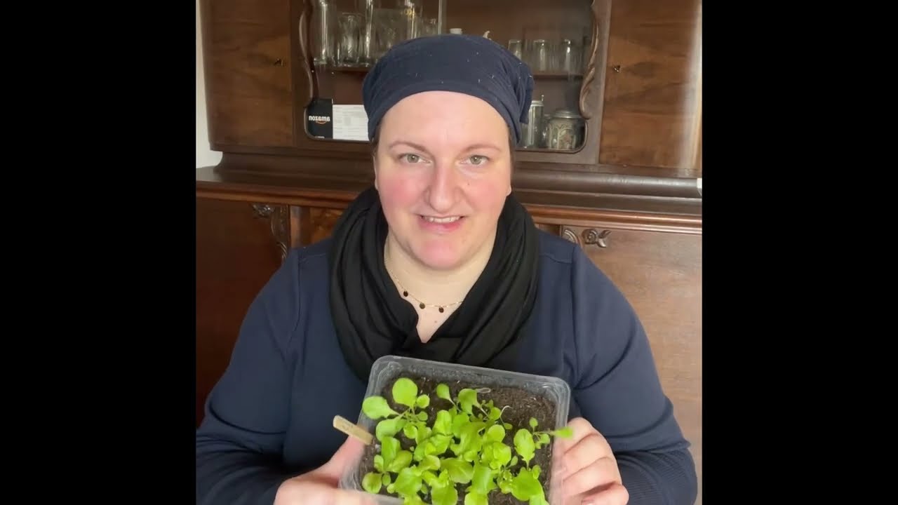 Biodynamisch gärtnern: Salat säen & pikieren am Blatttag nach Maria Thun und Vorstellung von Katrin