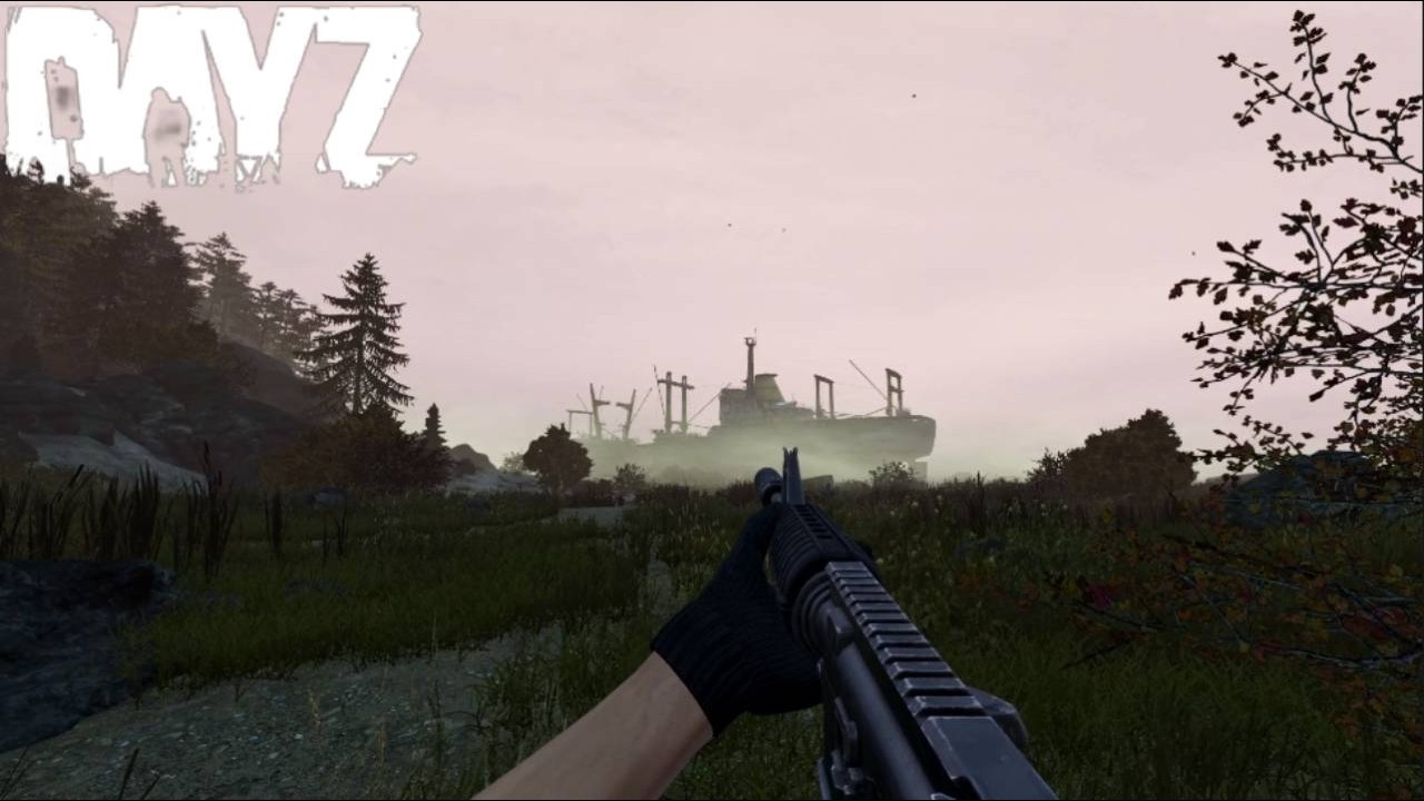 No me esperaba ESTO de un Server Oficial de DayZ