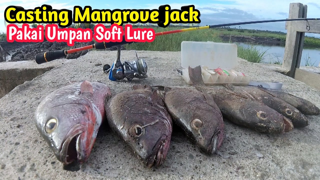 Mancing Casting Di muara Pakai umpan Soft lure , umpan softlure sangat killer Casting Mangrove jack