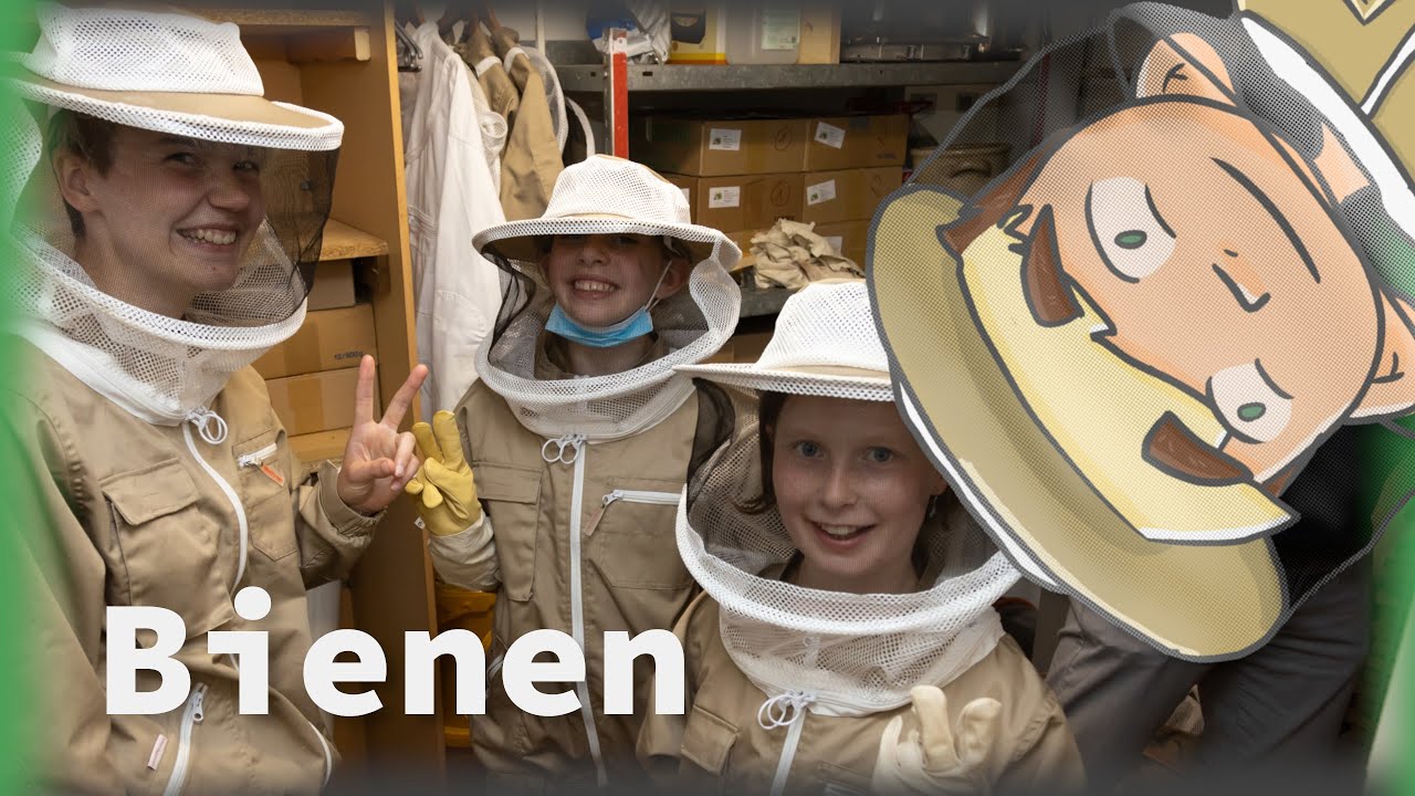 Was Bienen so machen - Project Butterfly 3/4