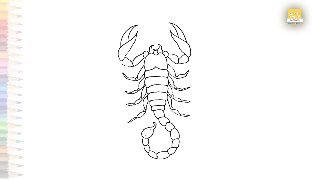 Scorpion drawing easy 01 | Science diagrams easy | How to draw A Scorpion step by step