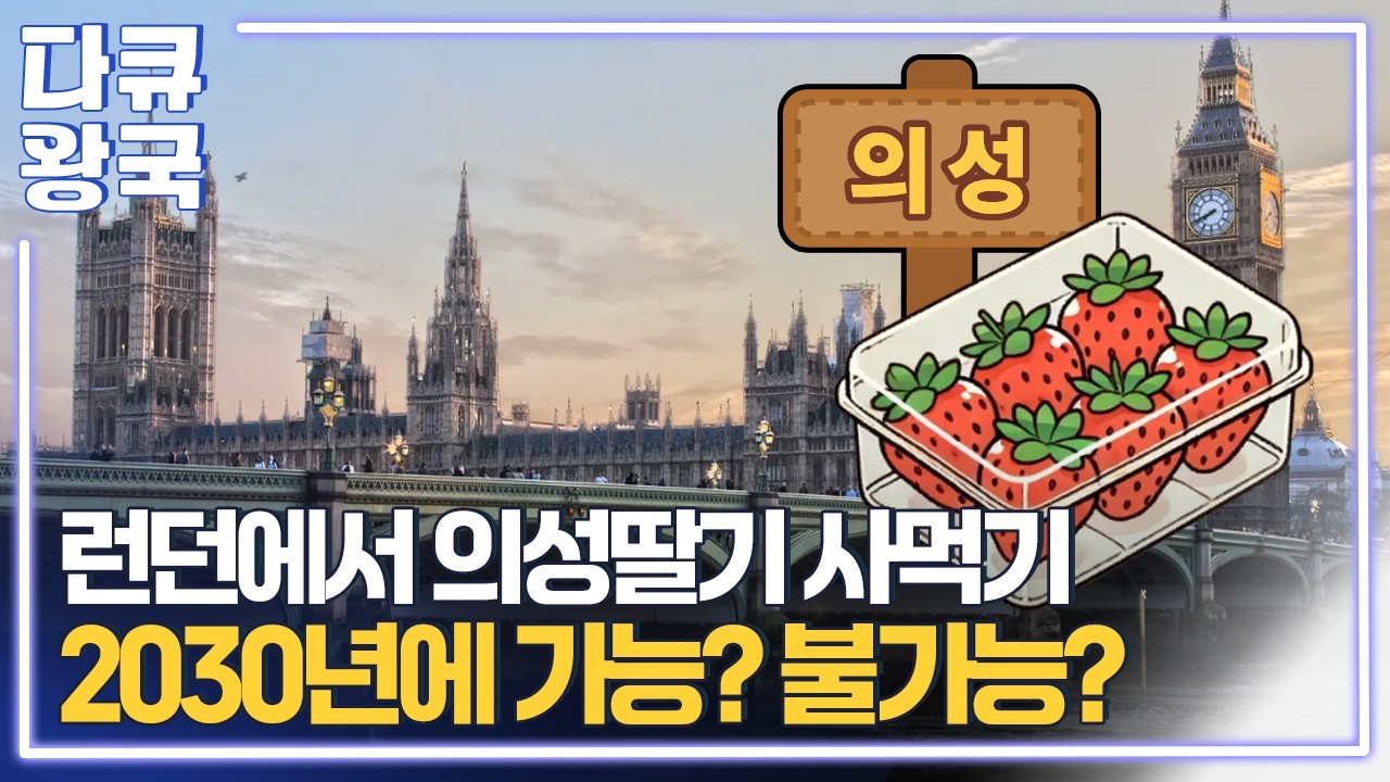대구경북신공항이 그리는 지역의 미래, 새로운 물류 공항이 되기 위해 필요한 조건은? [에어포트TK4 안동MBC]