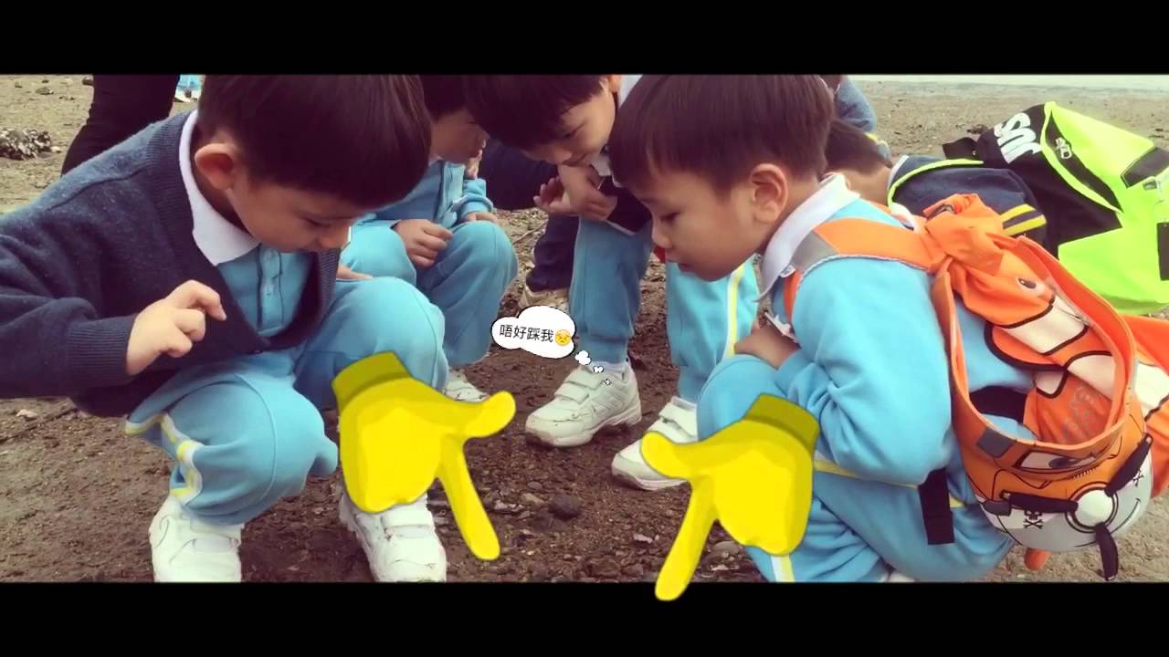高主教書院幼稚園部 K3 學校旅行&沙頭角農莊