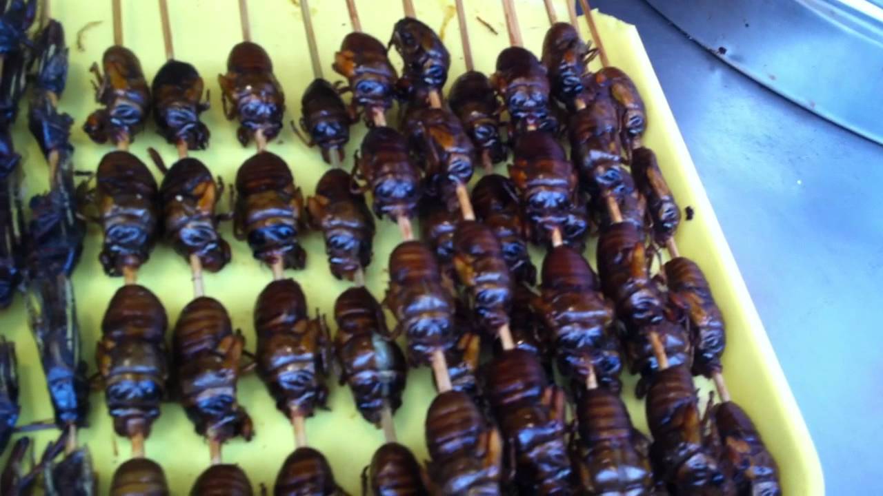 On mange de tout en Chine !