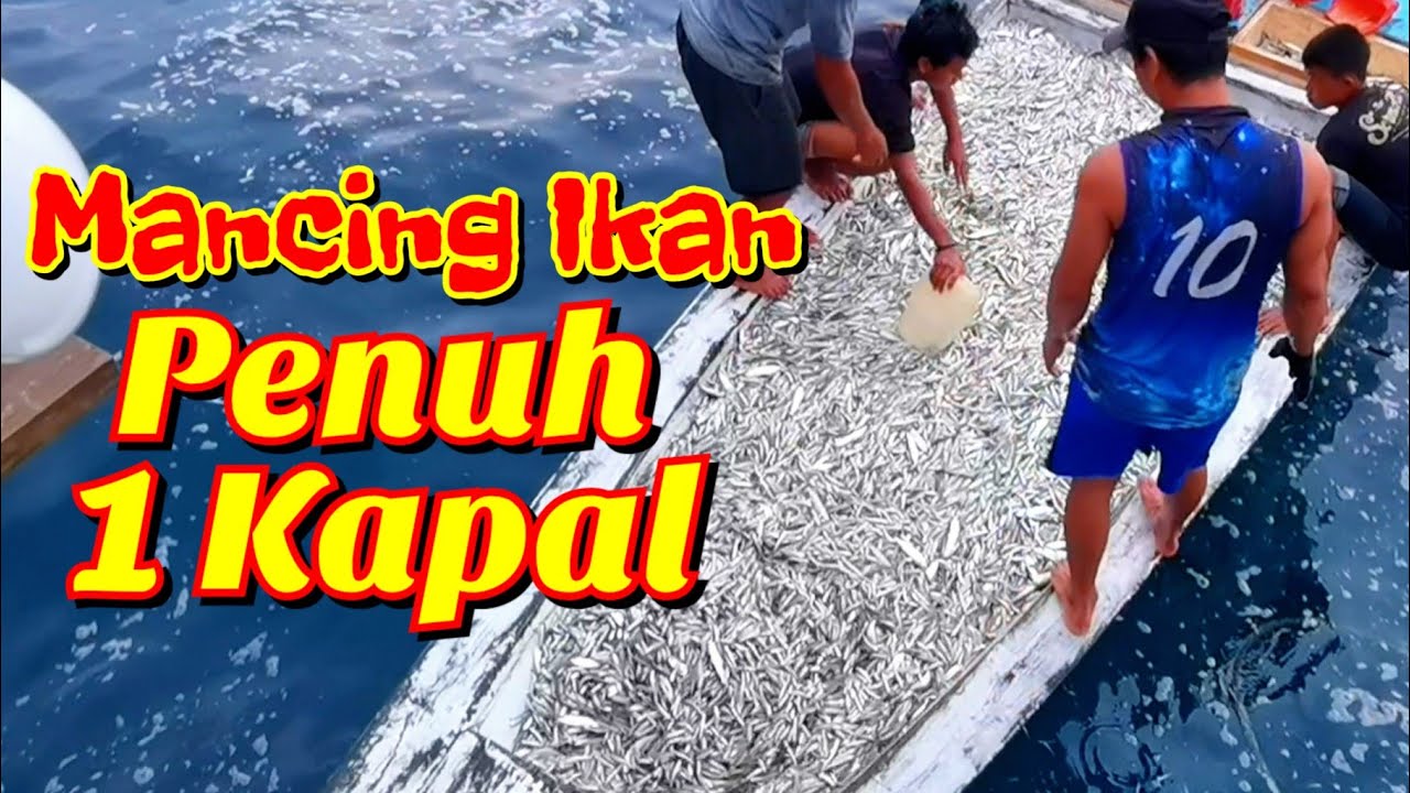 Bagan Rambo Radit Tinobu Lasolo Konawe Utara, Mancing Ikan Penuh 1 Kapal