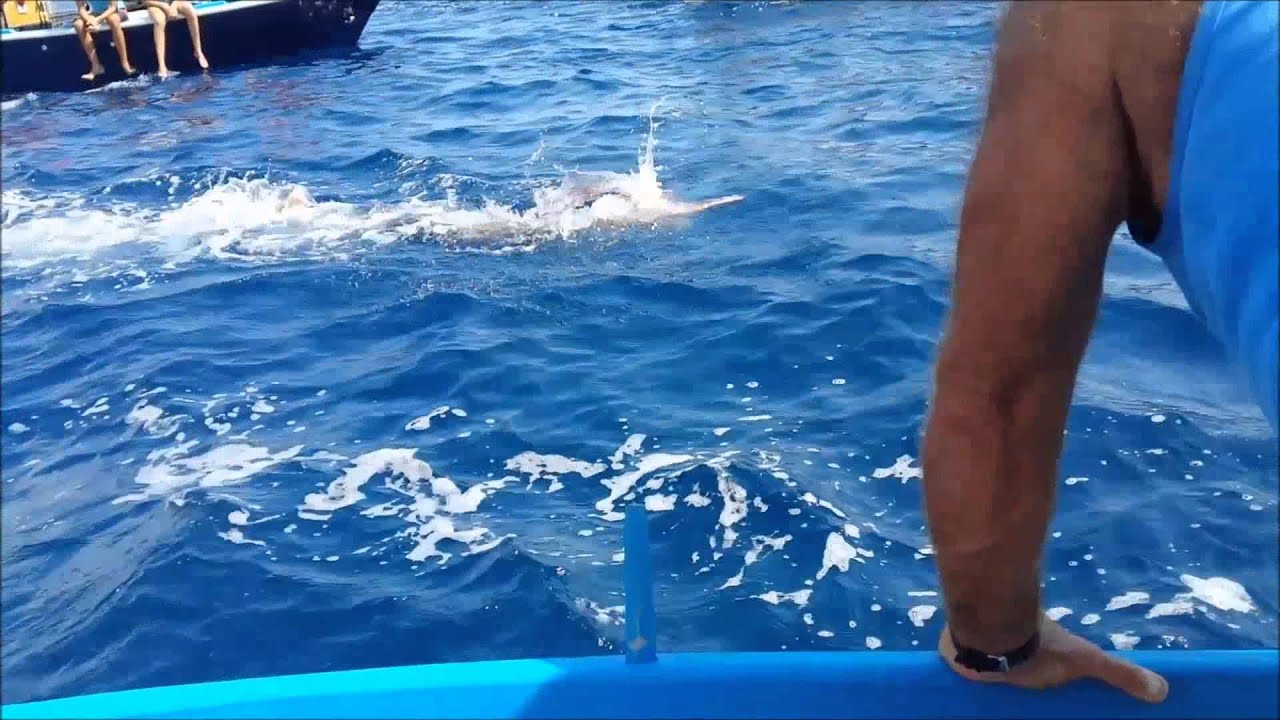Andrea Fazio - Record della traversata dello Stretto di Messina, 30'06
