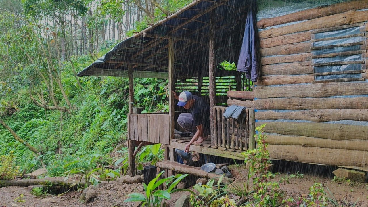 Dingin 🥶 Turun Hujan Deras - Aktivitas Sehari-hari Di Pondok Hutan - Ditemani Hewan peliharaan 