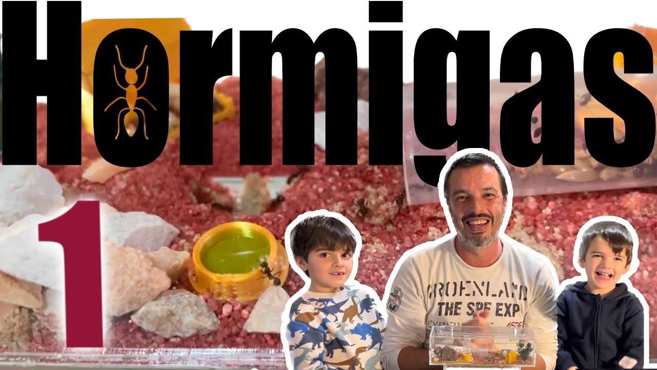 Los Ruvideos - Creamos nuestro primer hormiguero
