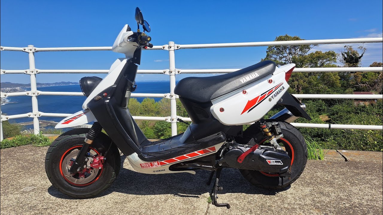 BWS100