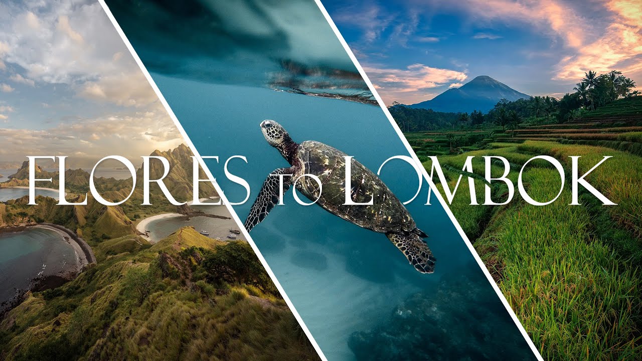 Flores to Lombok 2025 | Sony A7SIII | Nauticam NA-A7SIII | Nauticam WWL-1B | DJI Mini pro 4