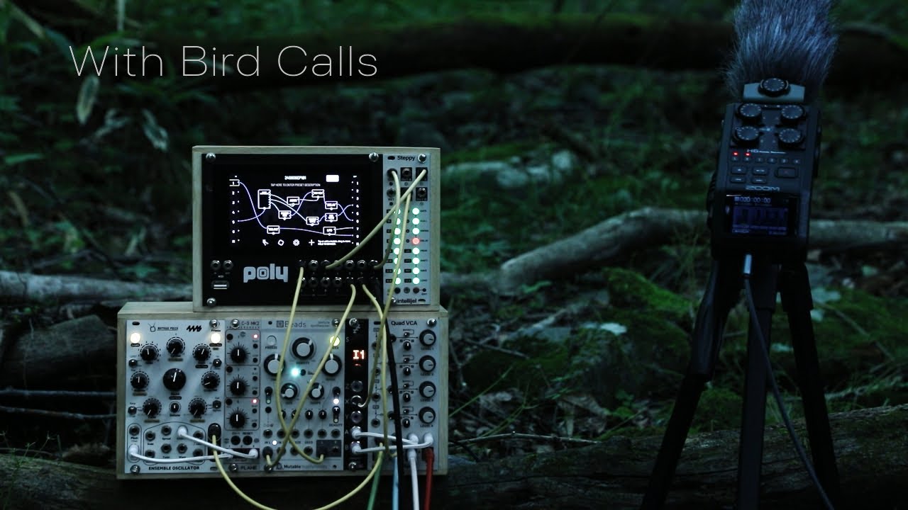 Calm Forest Echoes Ambient / Zoom H6 + SSH-6 Hector Beads Ensemble Oscillator