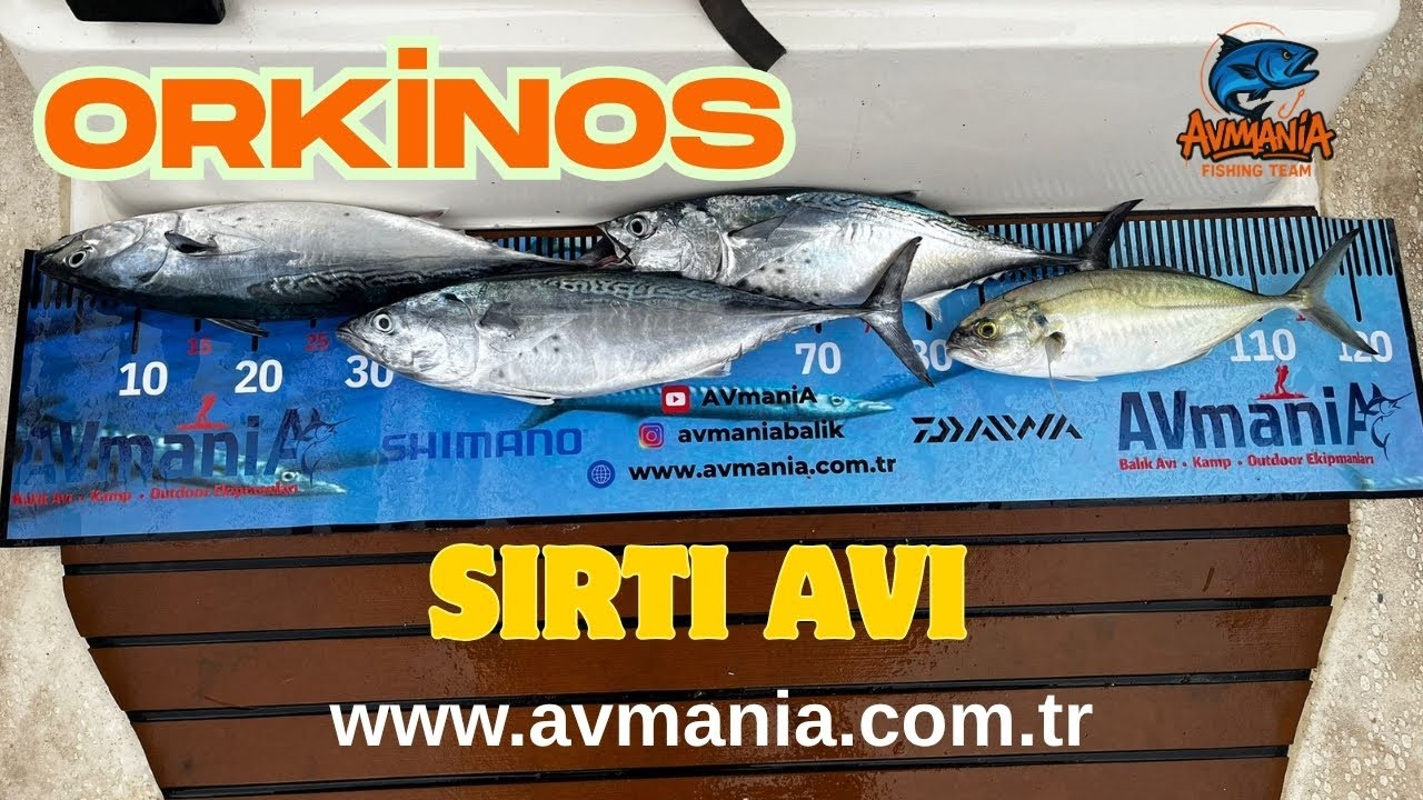 Orkinos Avı! Hepsi Teknede! Teknede Balık Avı   #fethiye #balıkavı
