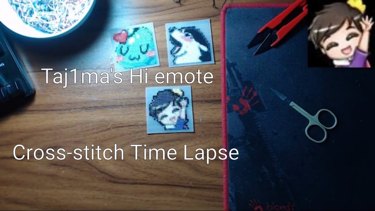 Speed Stitching Taj1ma's Hi emote | Time Lapse Cross-stitch