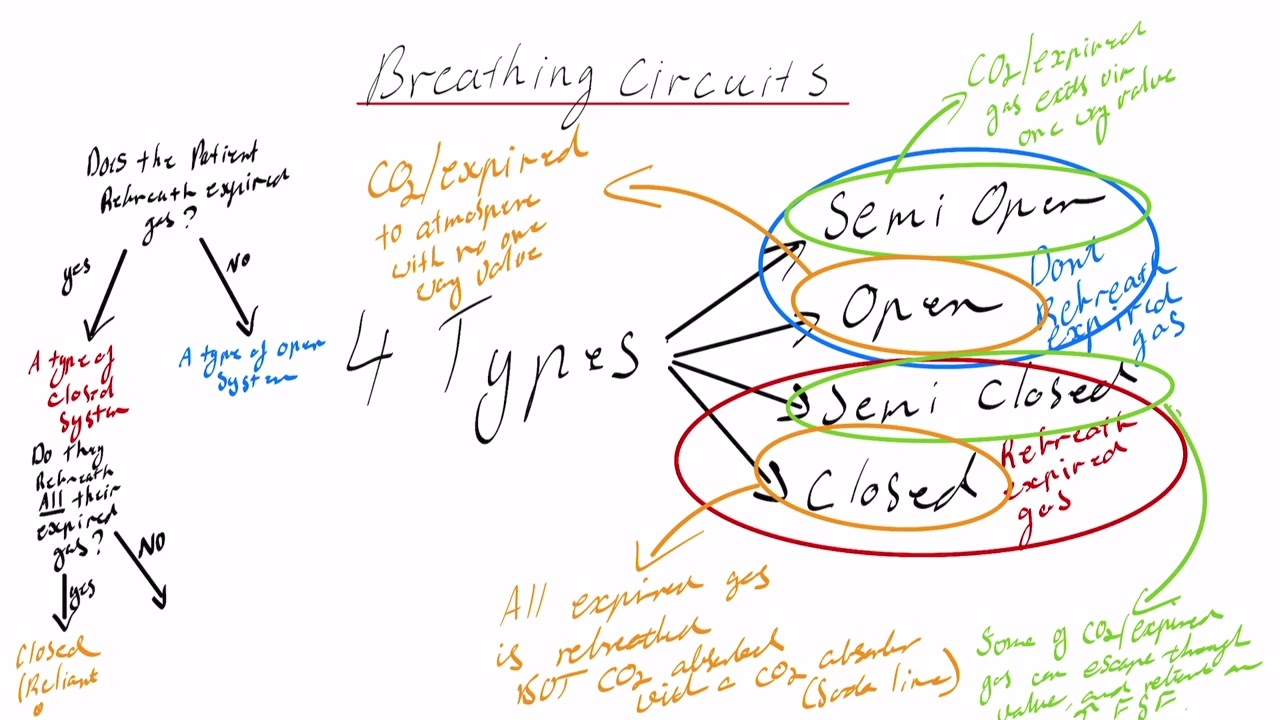 The 4 types of breathing circuits and how to differentiate them